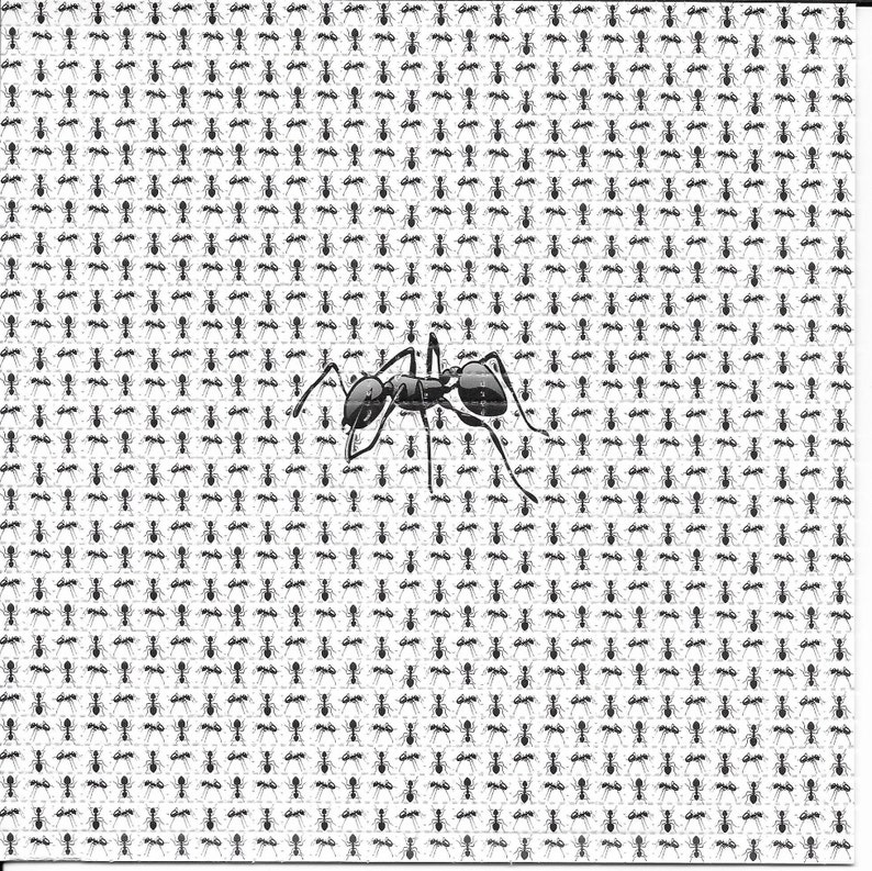 Ants Animal Psychedelic LSD Ac - Ink Blotter Paper review and price