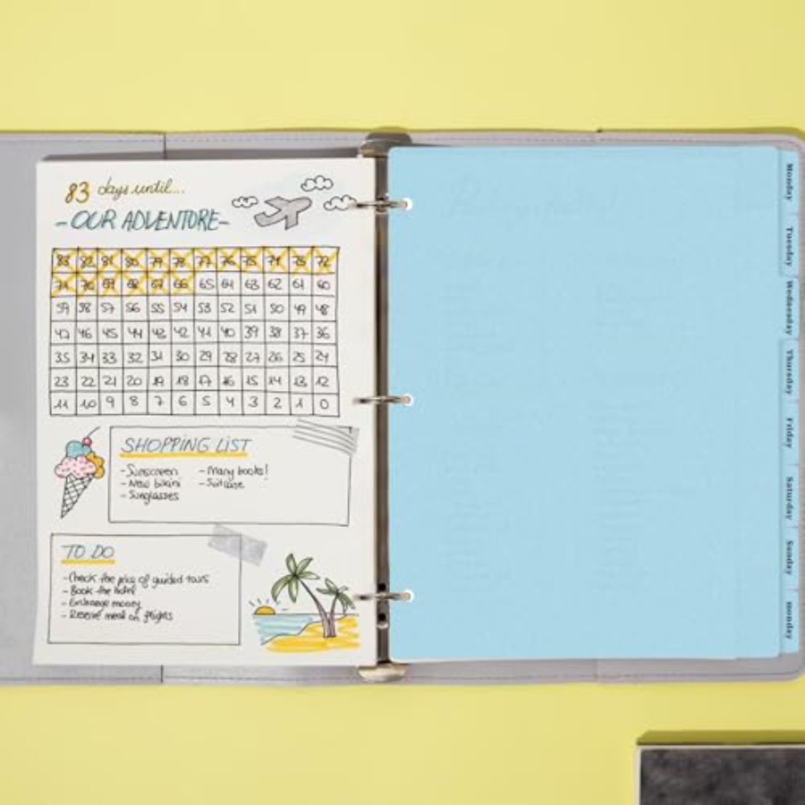 3 Ring Binder Dividers with 8- - Tab Divider A4 review and price