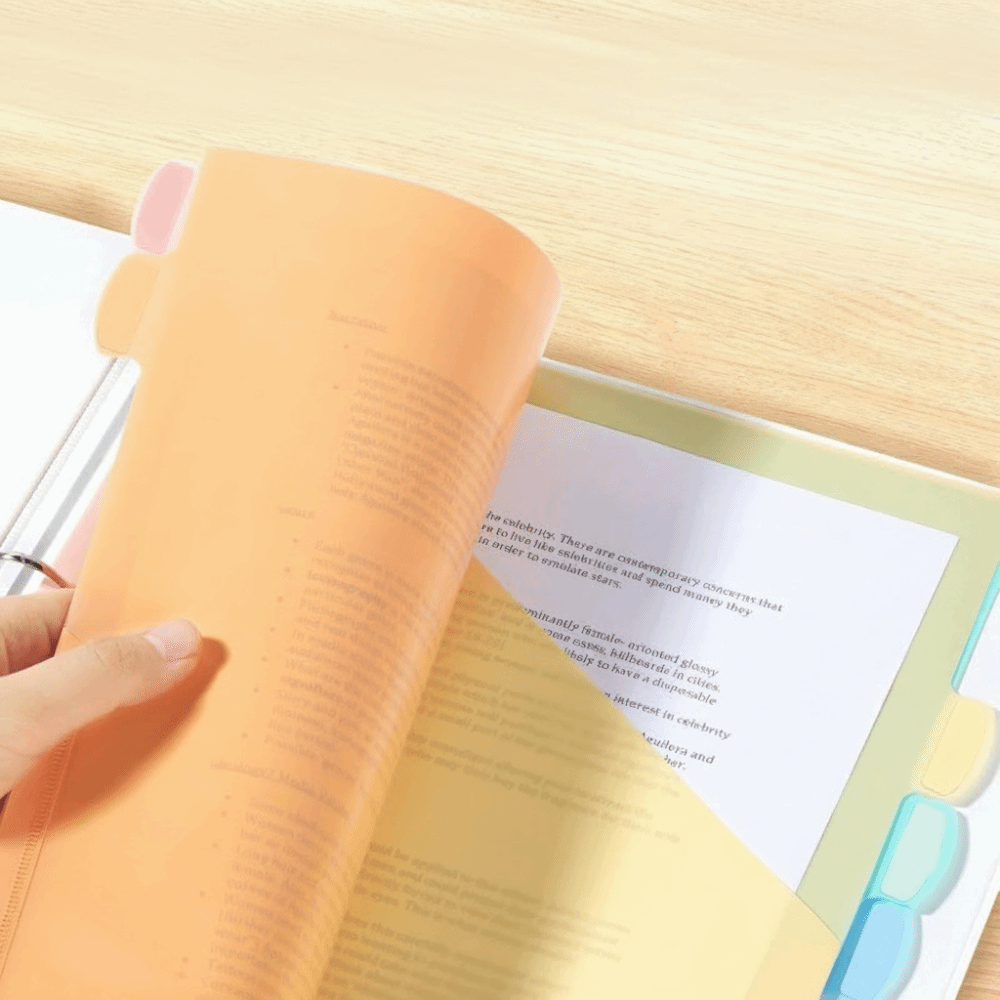 8 pcs A4 Pastel Binder Divider - Tab Divider A4 review and price