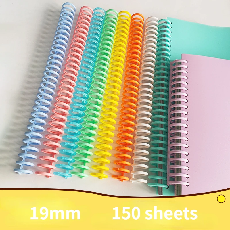19mm 30 Ring A4 Binders Plasti - Binder A4 Lever review and price